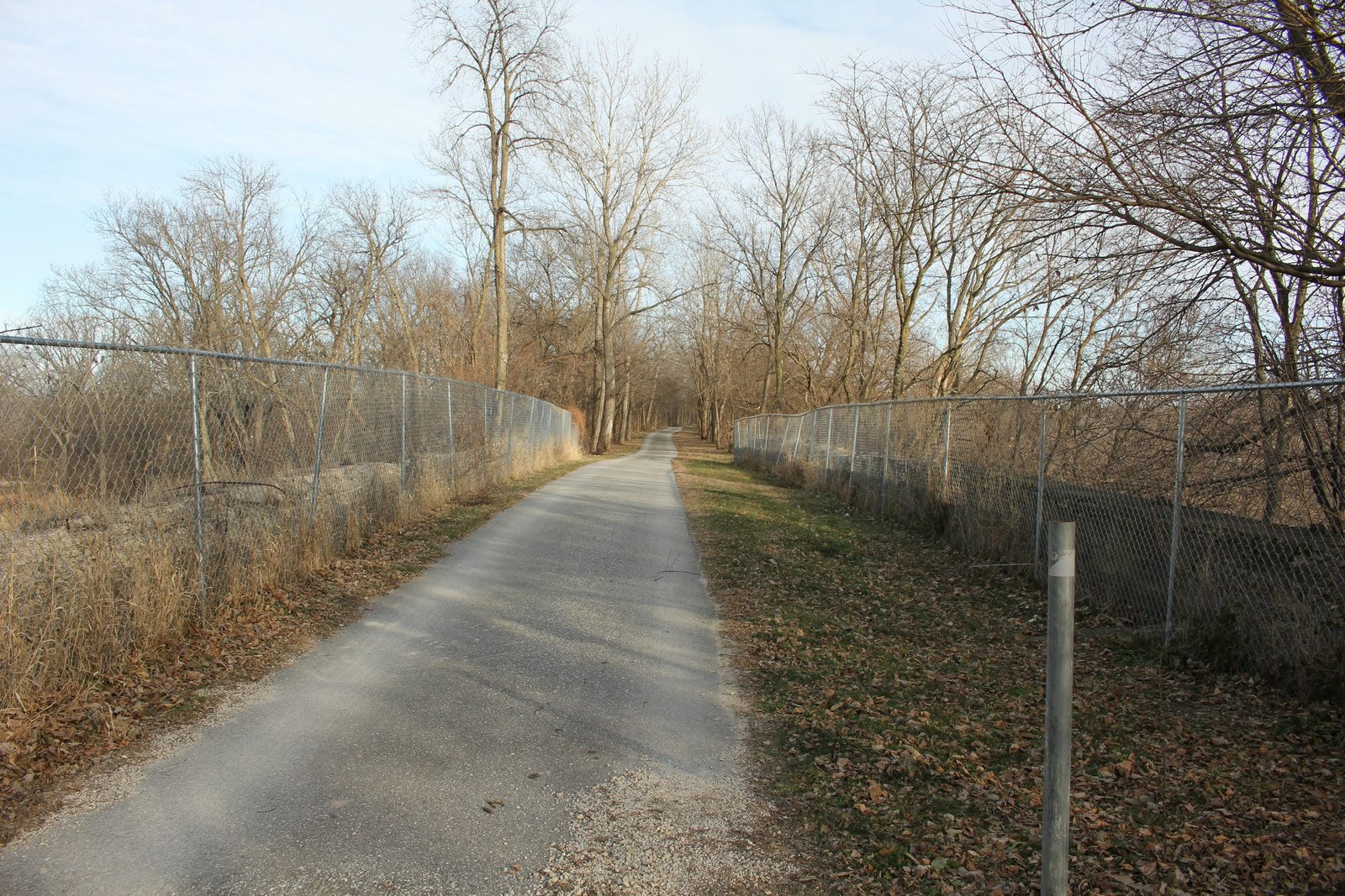 Looking east